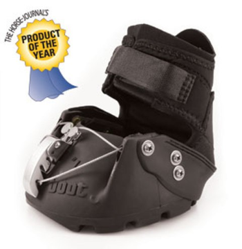 |New Epic 2012 version