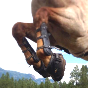 Old Macs in action|Old Macs in action