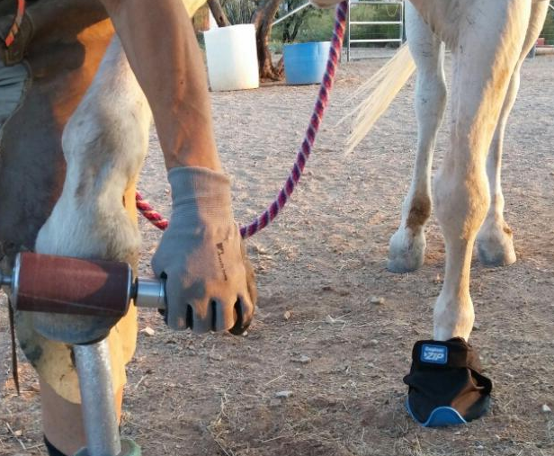 Zip Boot farrier pic