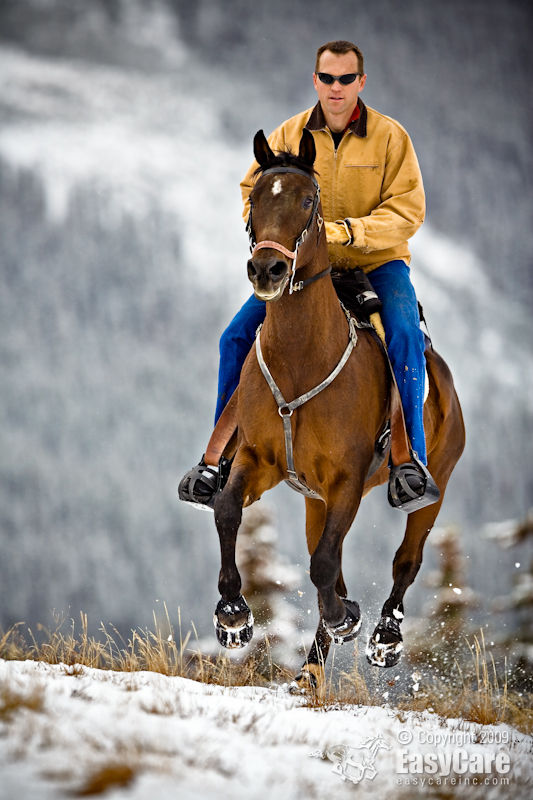 Garrett Ford Garrett Ford CEO Easycare Inc.