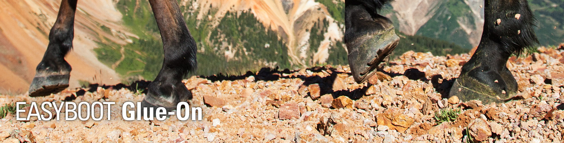 Glue on Shells mountain riding